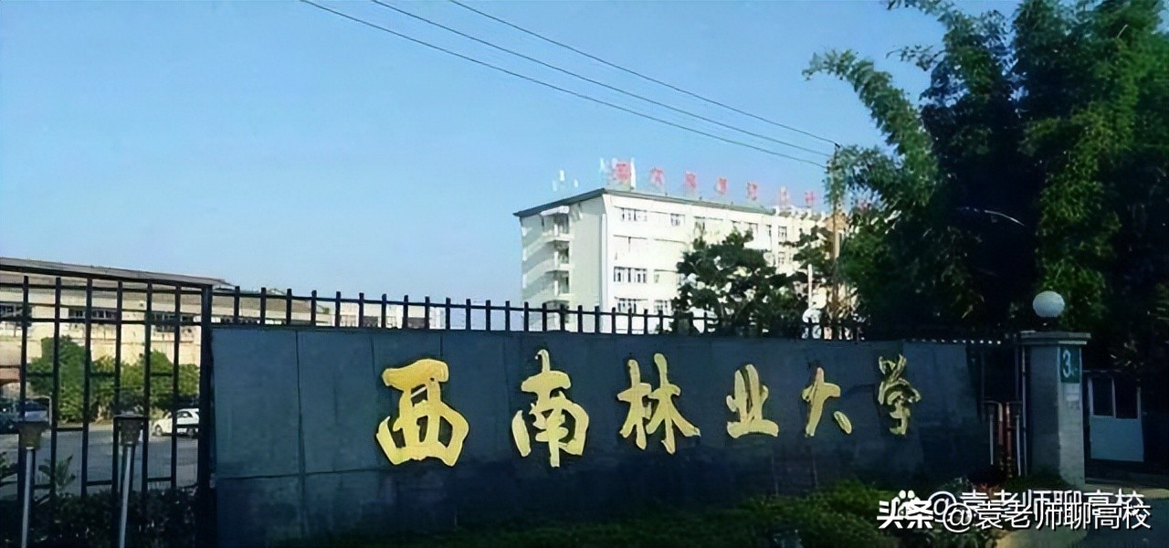 中南林业科技大学、西南林业大学和福建农林大学三所大学谁更强？