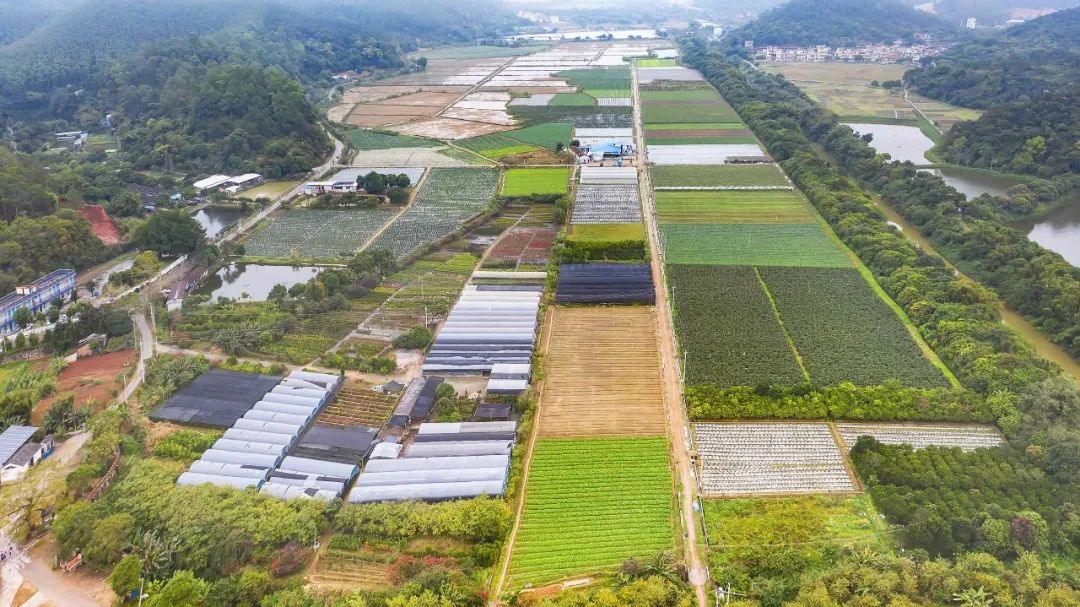 喜迎二十大丨东成镇：坚持*党**建引领走特色产业之路力促高质量发展