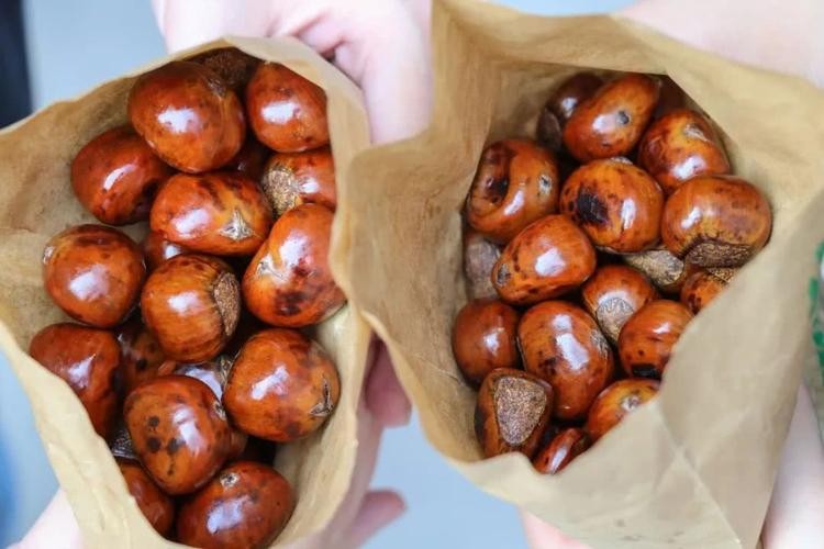 1956年毛主席接见马三立，被马老逗得捧腹大笑：国宝，你是国宝