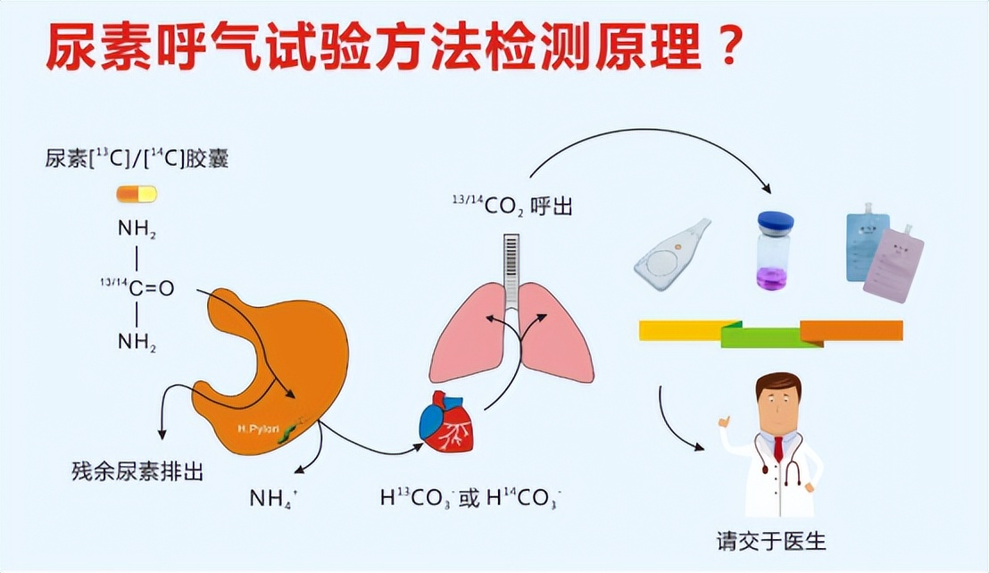自测护胃日,国际护胃日科普