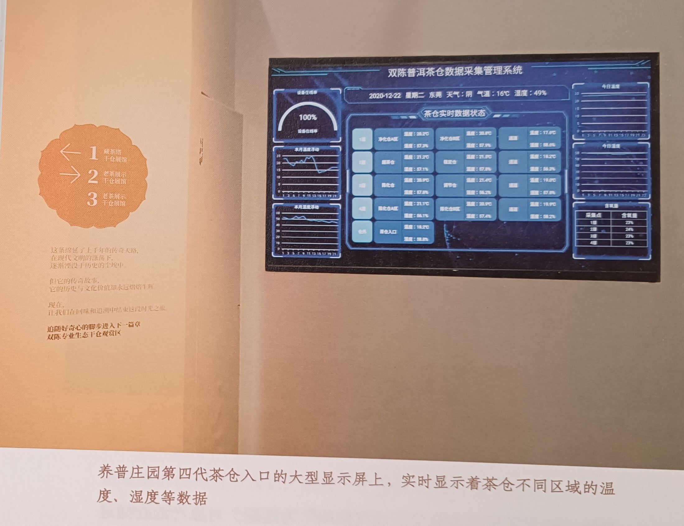 陈永堂与双陈普洱：深耕仓储，野望未来