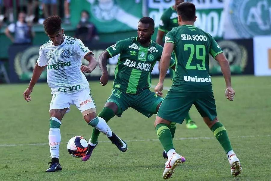 解放者杯今日预测分析帕尔梅拉斯,解放者杯对巴甲球队来说重要吗