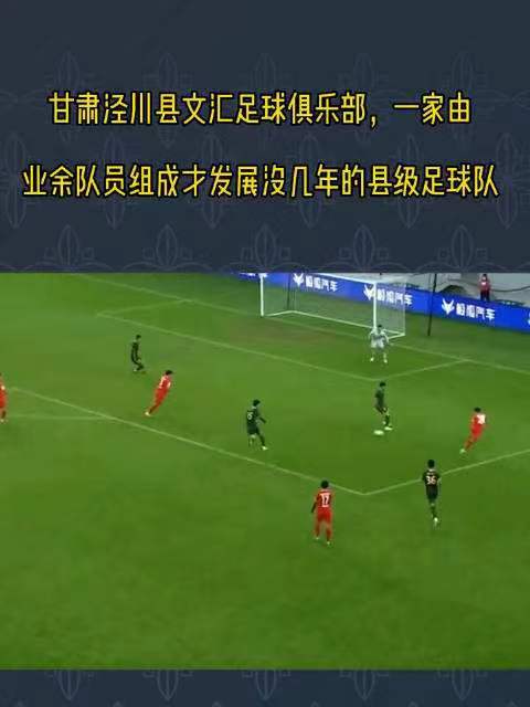 泾川文汇足球队队员简历,惊奇足球