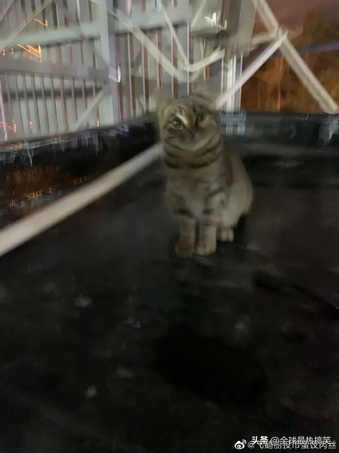 自学考研复试怎么准备,考研复试应该什么时候开始准备