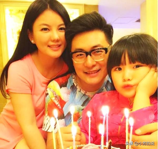 王岳伦投资多少钱,王岳伦存款