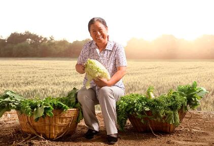 花2万元买的老房子,花2万买一套老房子