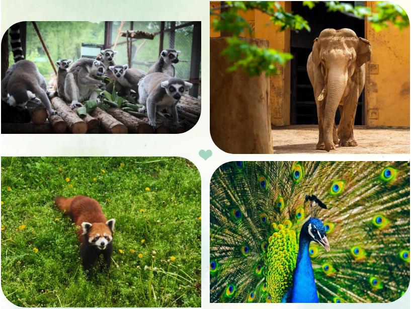 沈阳3天2夜游玩攻略,沈阳三日游攻略最新一期