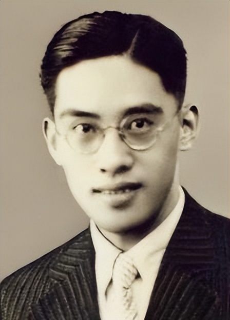 谍战玫瑰沈安娜的传奇人生,谍战玫瑰沈安娜电视剧多少集