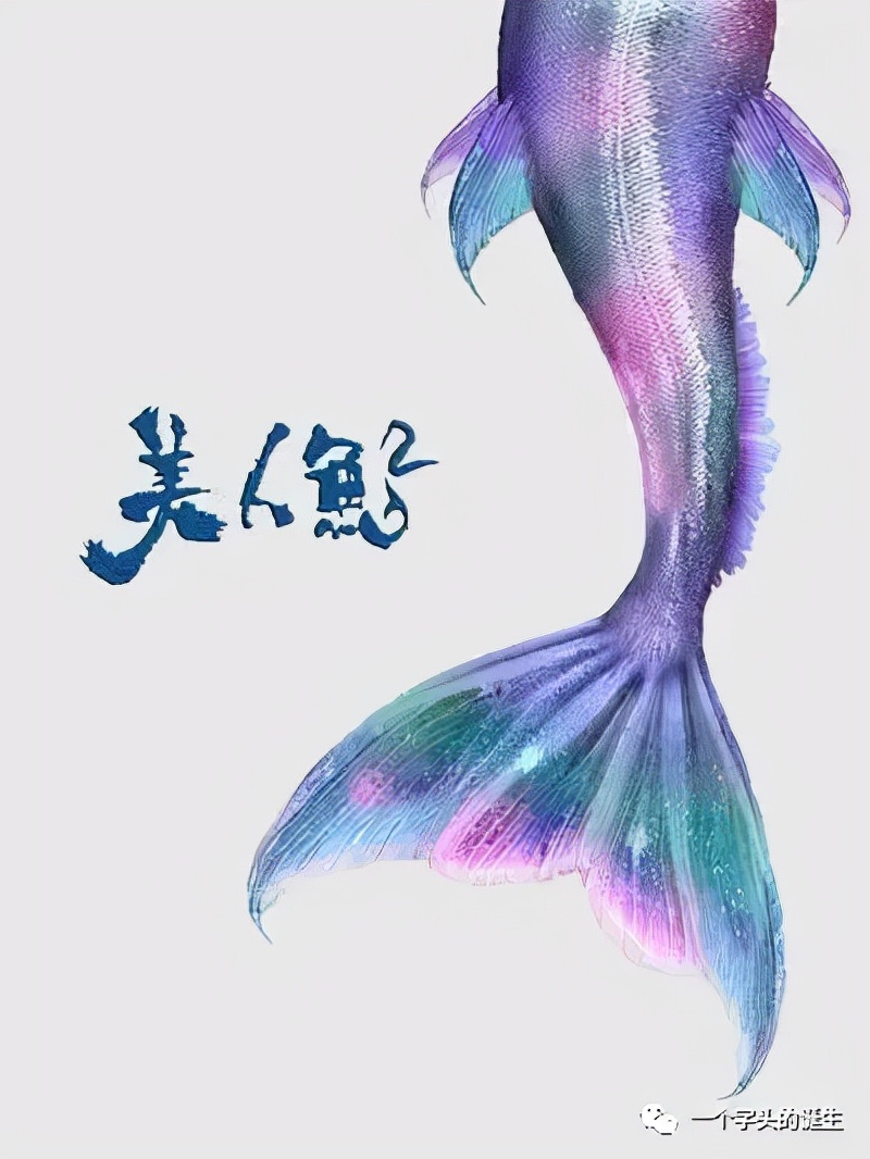 2022年待上映香港电影片单，请查收