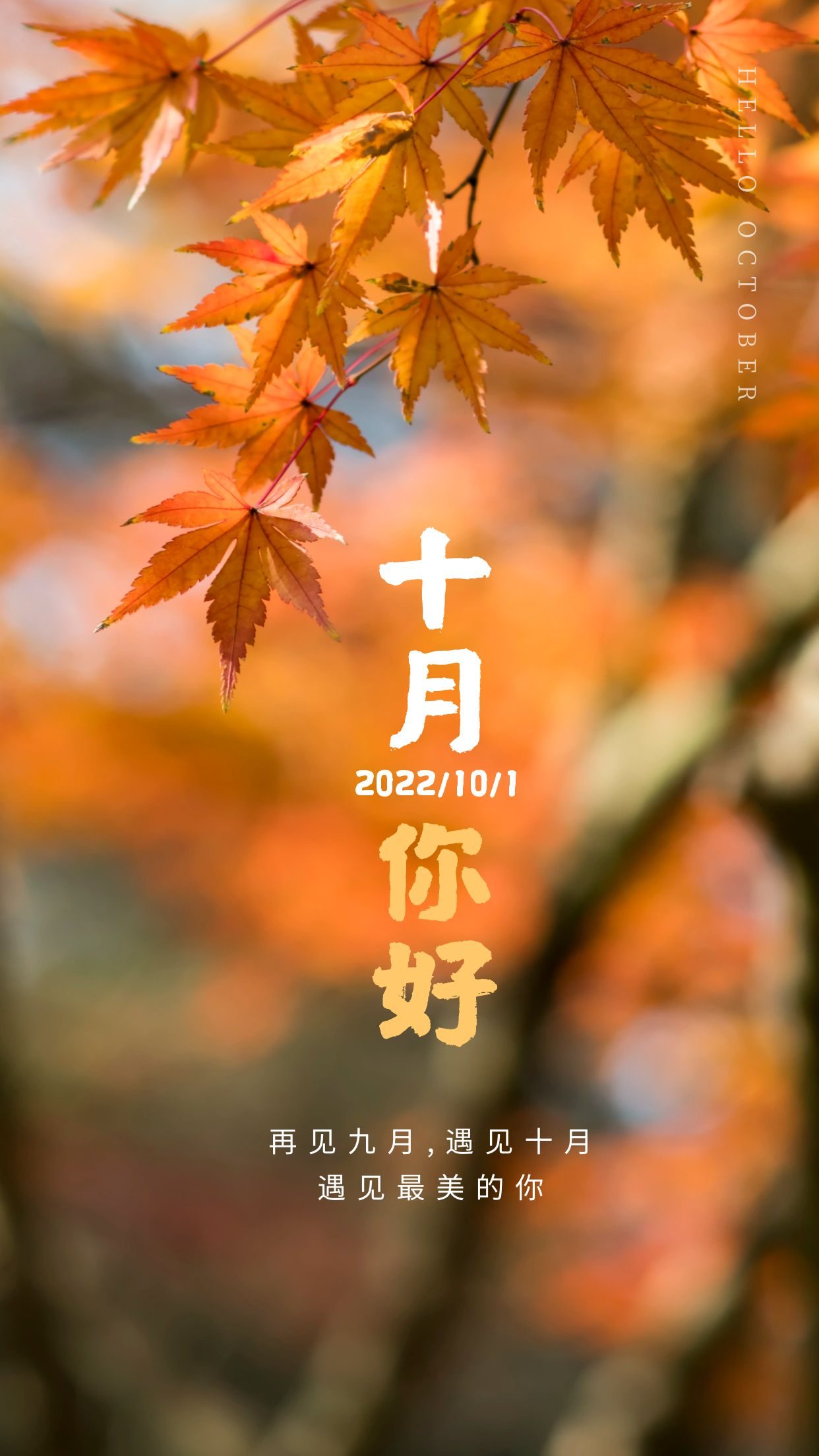 十二月你好文案配图抖音,关于九月再见十月你好的抖音句子