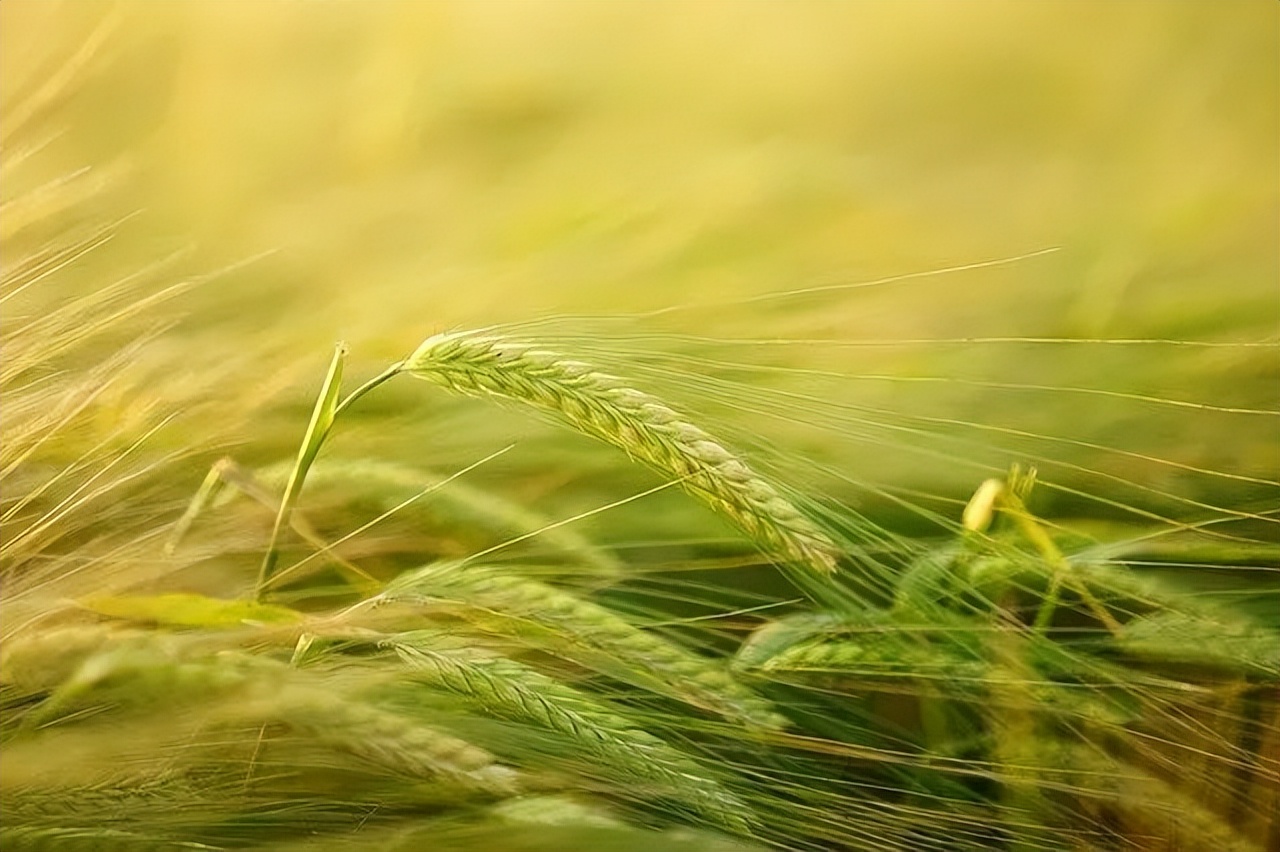 孟子说体验也是修行,孟子修行六境界