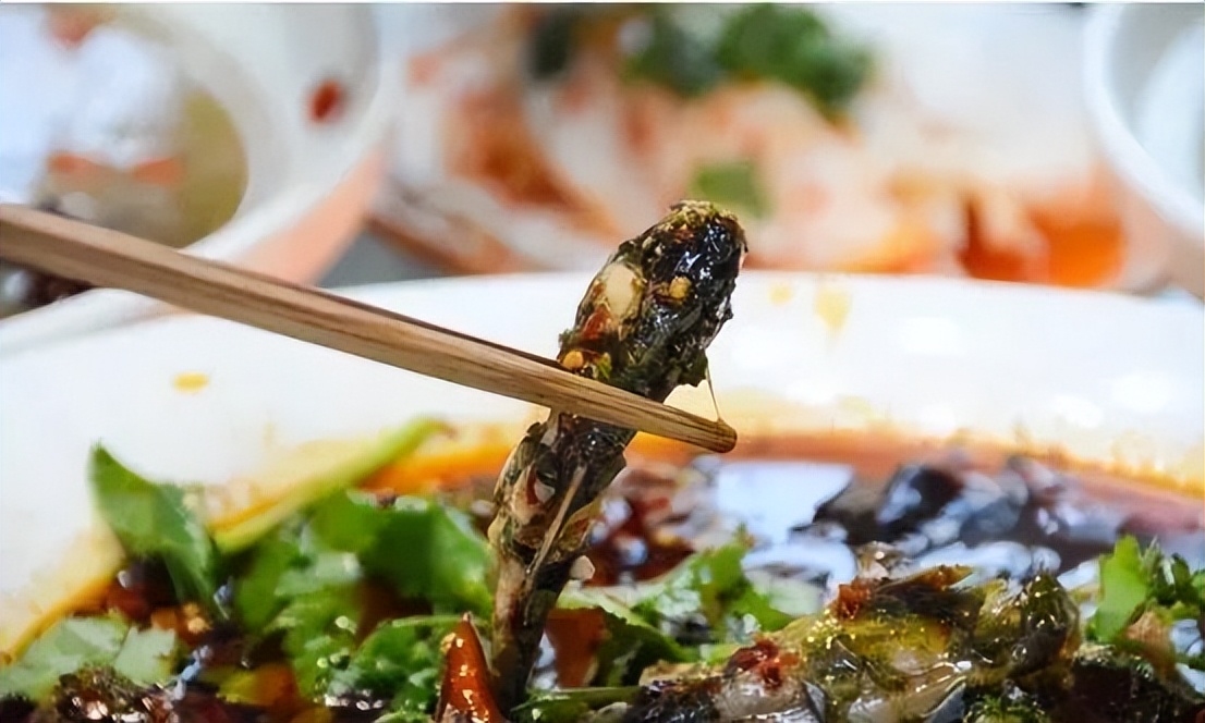 来农家乐的乐趣,来山水农家享受大自然的美景