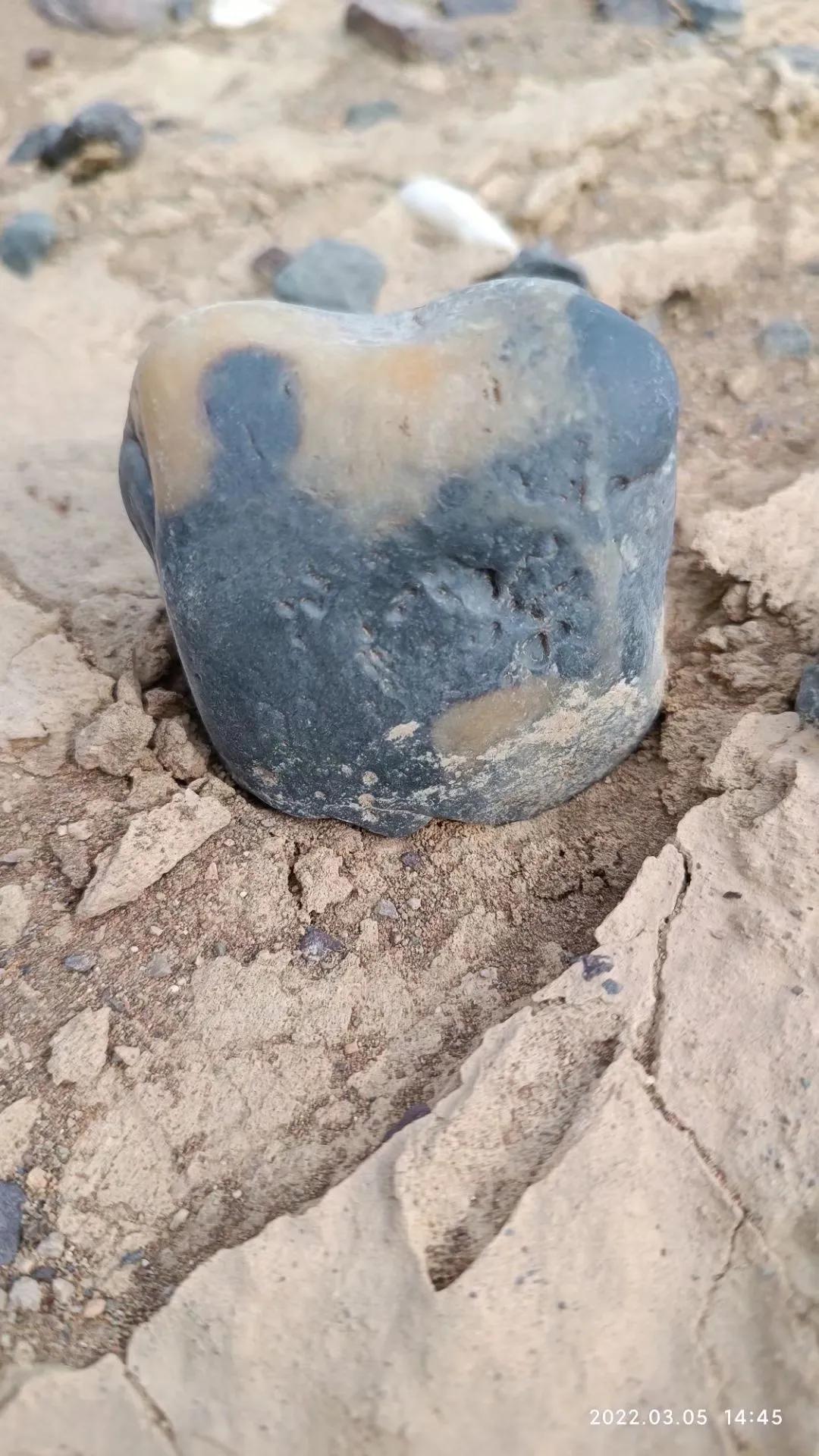 去戈壁捡石头,新疆戈壁捡石头