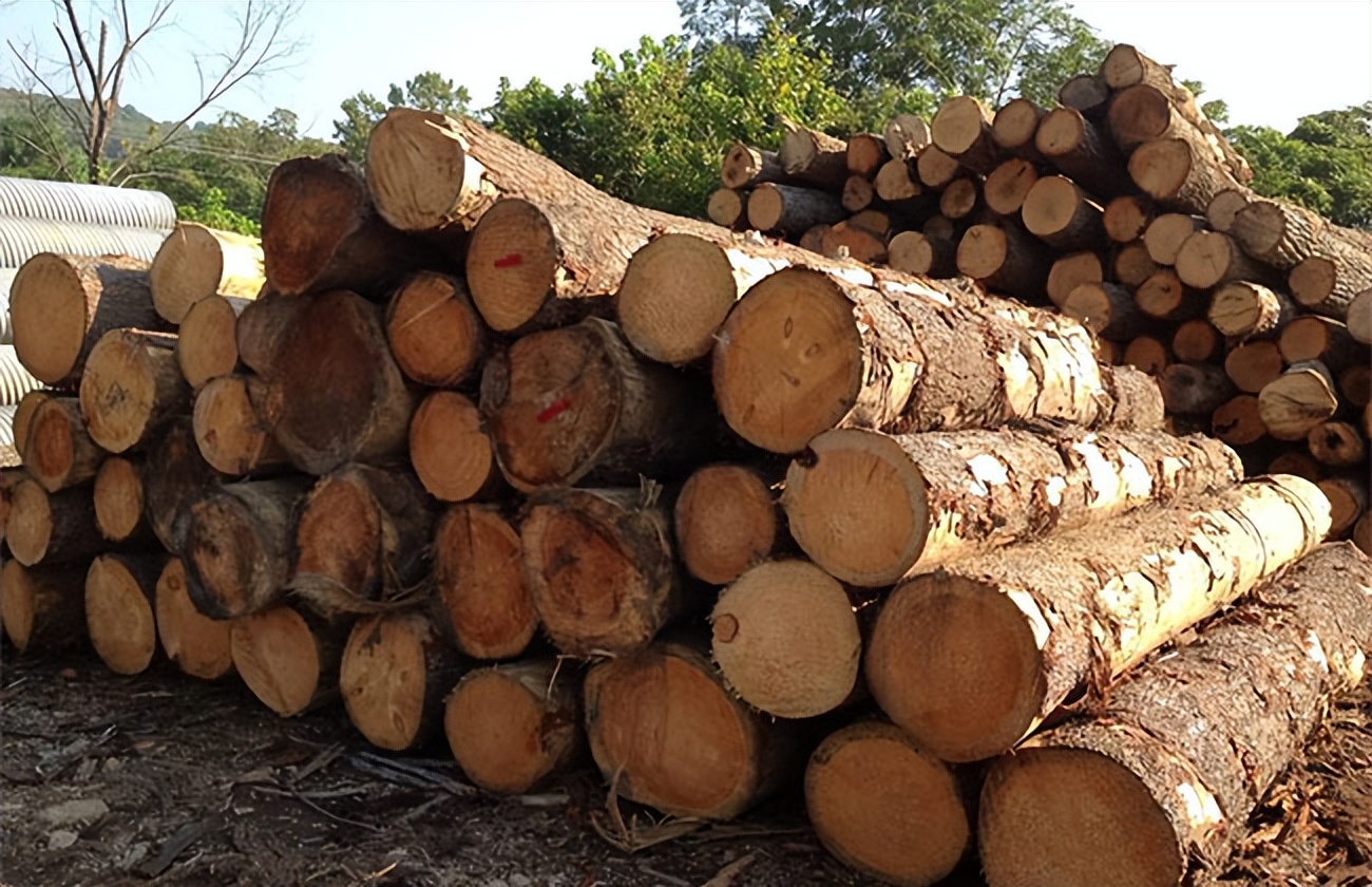 广西2021年上半年广西gdp各市排名,广西的经济发展状况和前景