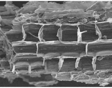 活性炭的活化方法有哪些,活性炭物理活化法
