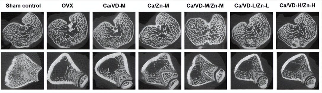无限极合作的科研单位,无限极科研中心