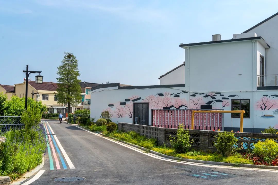 江苏省特色田园乡村名单公布,省级特色田园乡村标准