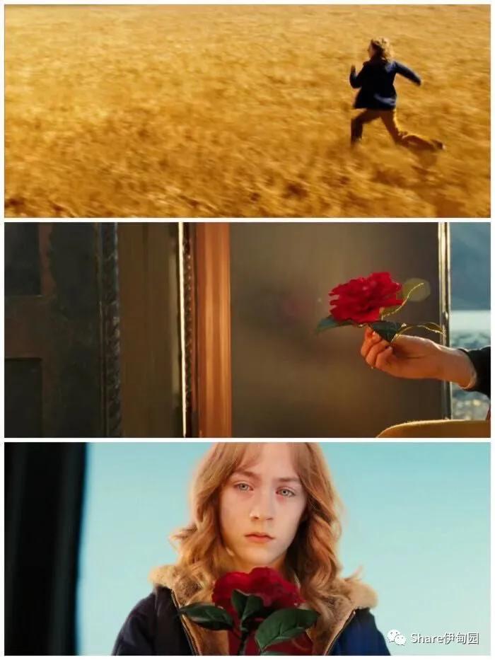 可爱的骨头英语版,可爱的骨头