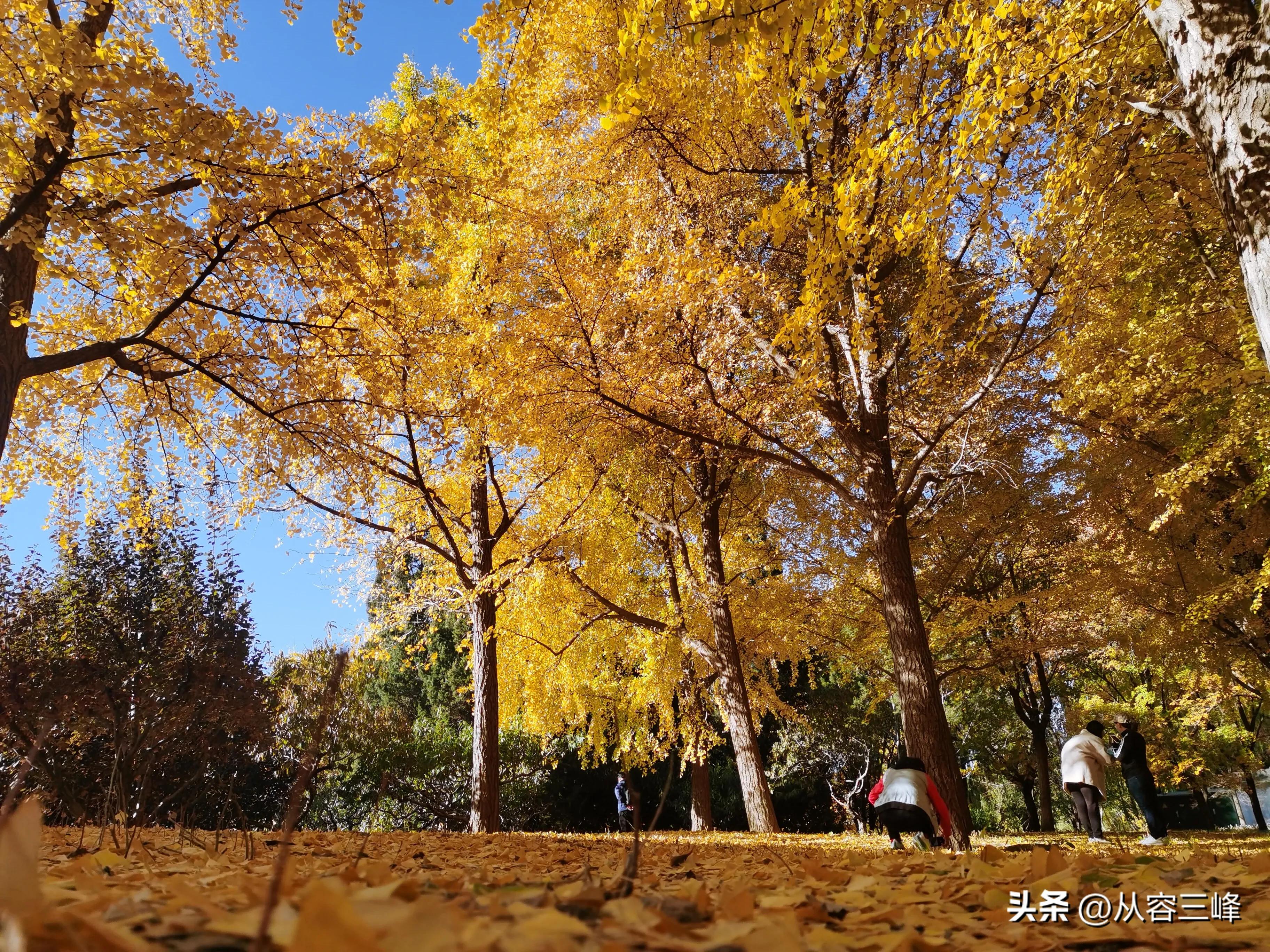 遇见好医生三生有幸,遇见一位好的中医大夫
