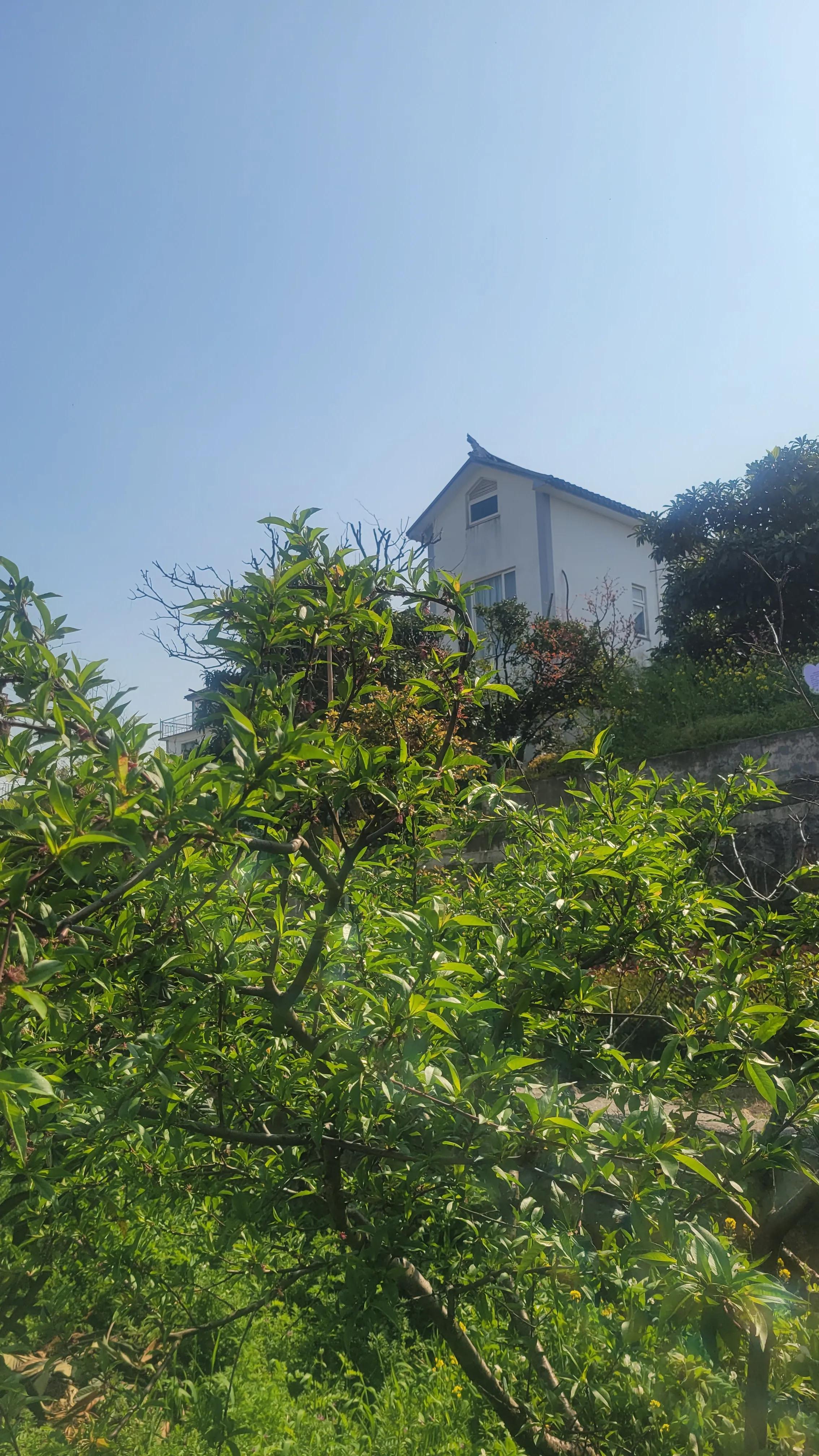 太湖七十二峰都在苏州吗,太湖西山岛三山岛