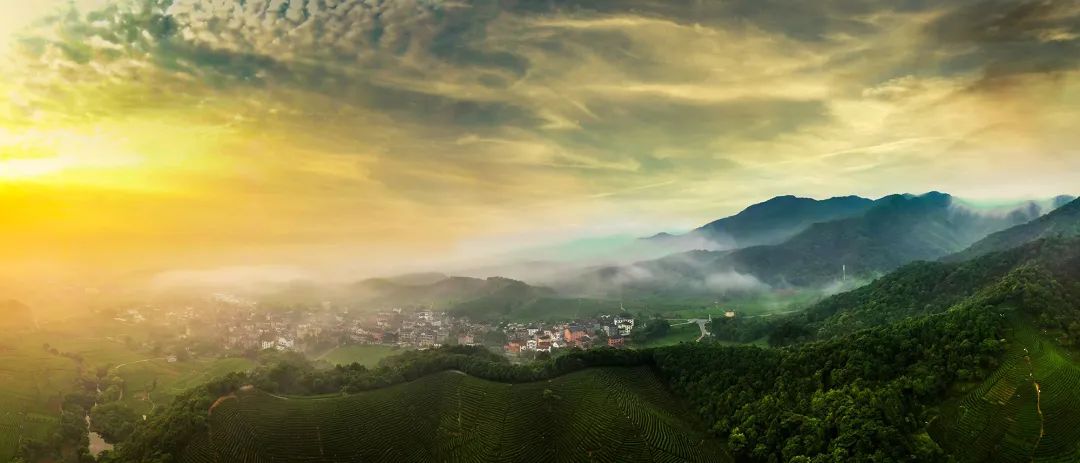 最近申遗成功的中国世界遗产,浙江申遗世界遗产