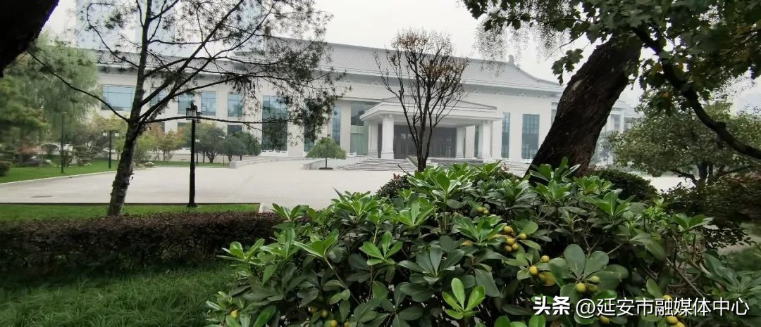 陕西宾馆迎来最佳观花赏景季节,陕西宾馆内景色