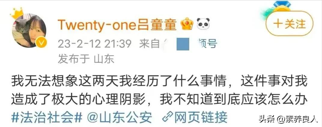 吕亚童事件评论,吕亚童事件后续