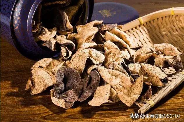 柑橘知识柑橘品种,柑桔的知识你知道几个呢