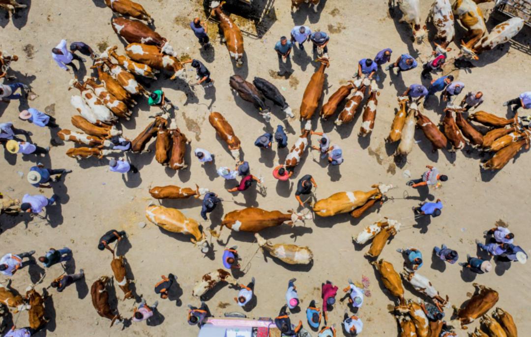 最美的江南风景,中国最美的景色在北疆和川西