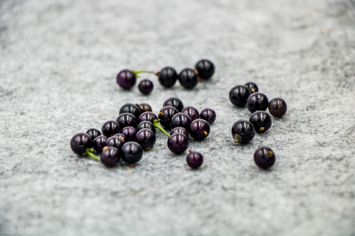 美貌却不美味的假狗*子奶**和貌丑却酸甜可口的狗*子奶**，你好哪一口？