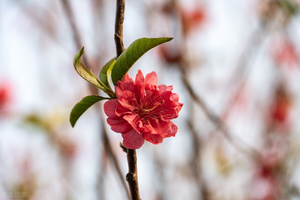 大多数老人退休后的现状,退休后老人的生活状态有哪些