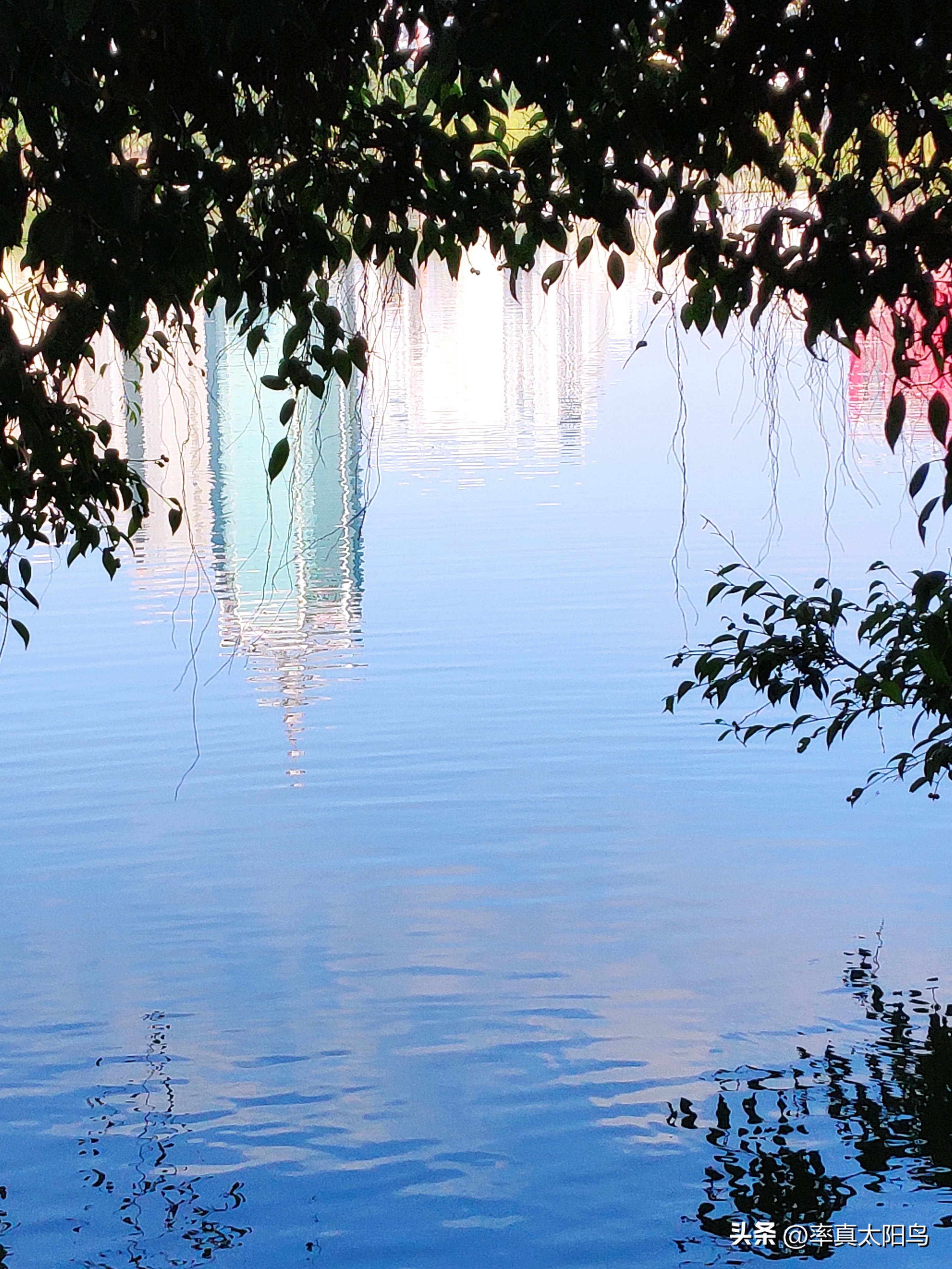 秋水之韵文章,秋水之韵抖音