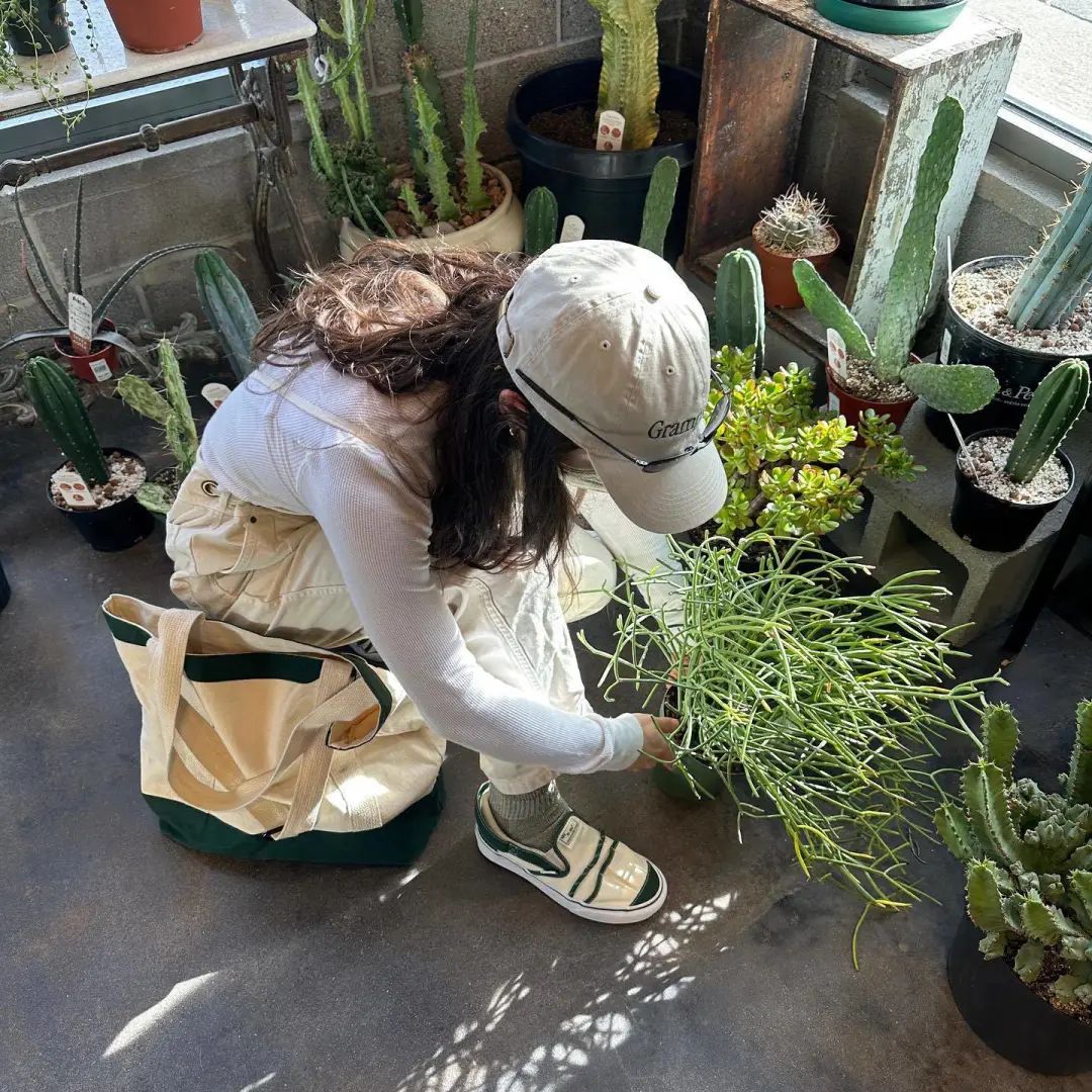 预览|NicoleMcLaughlinxVansVault2023联名系列