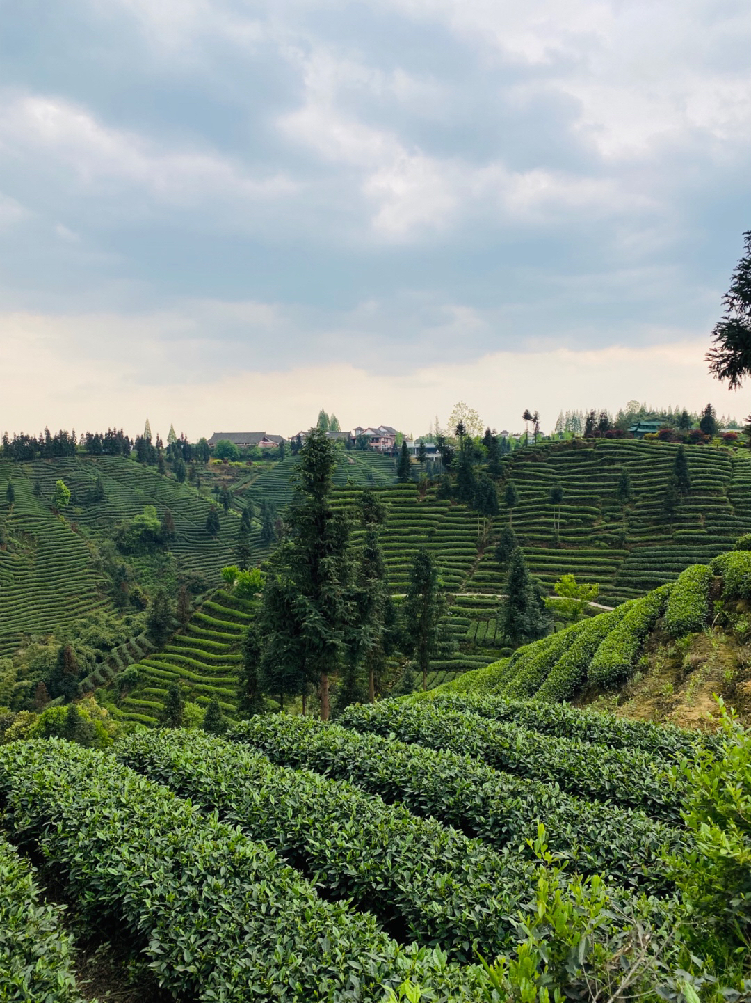 成都近郊一个小众禅意古镇,成都茶山古镇图片