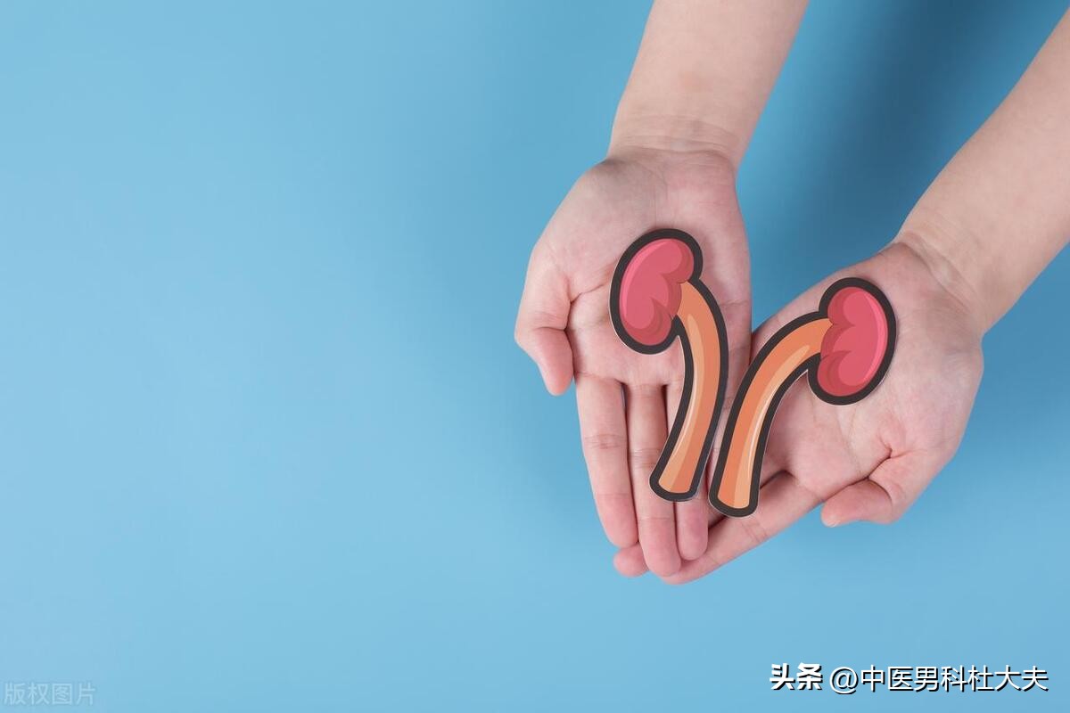 没有元气怎么调理,没有阳气要怎么补