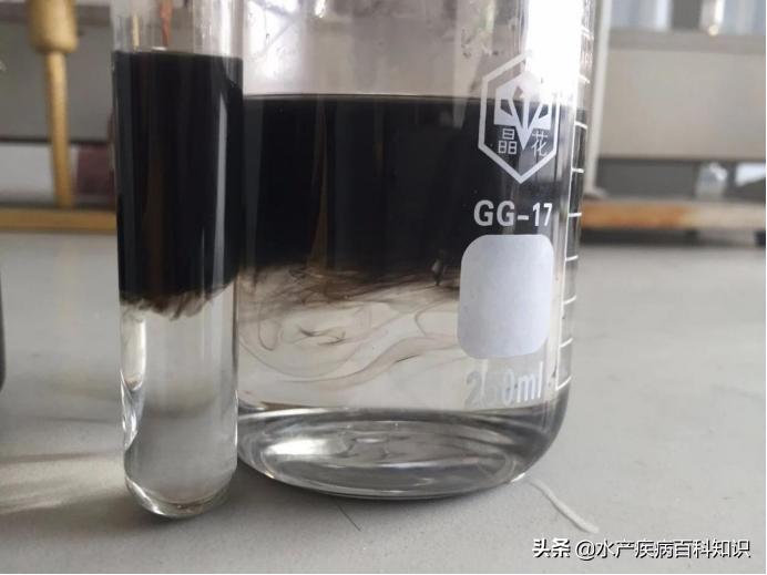 高温天气池塘死鱼是什么原因,天气热怎么预防死鱼