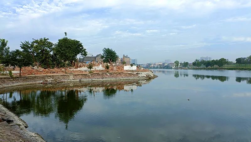 2022淮阳荷花节结束时间,看淮阳荷花节