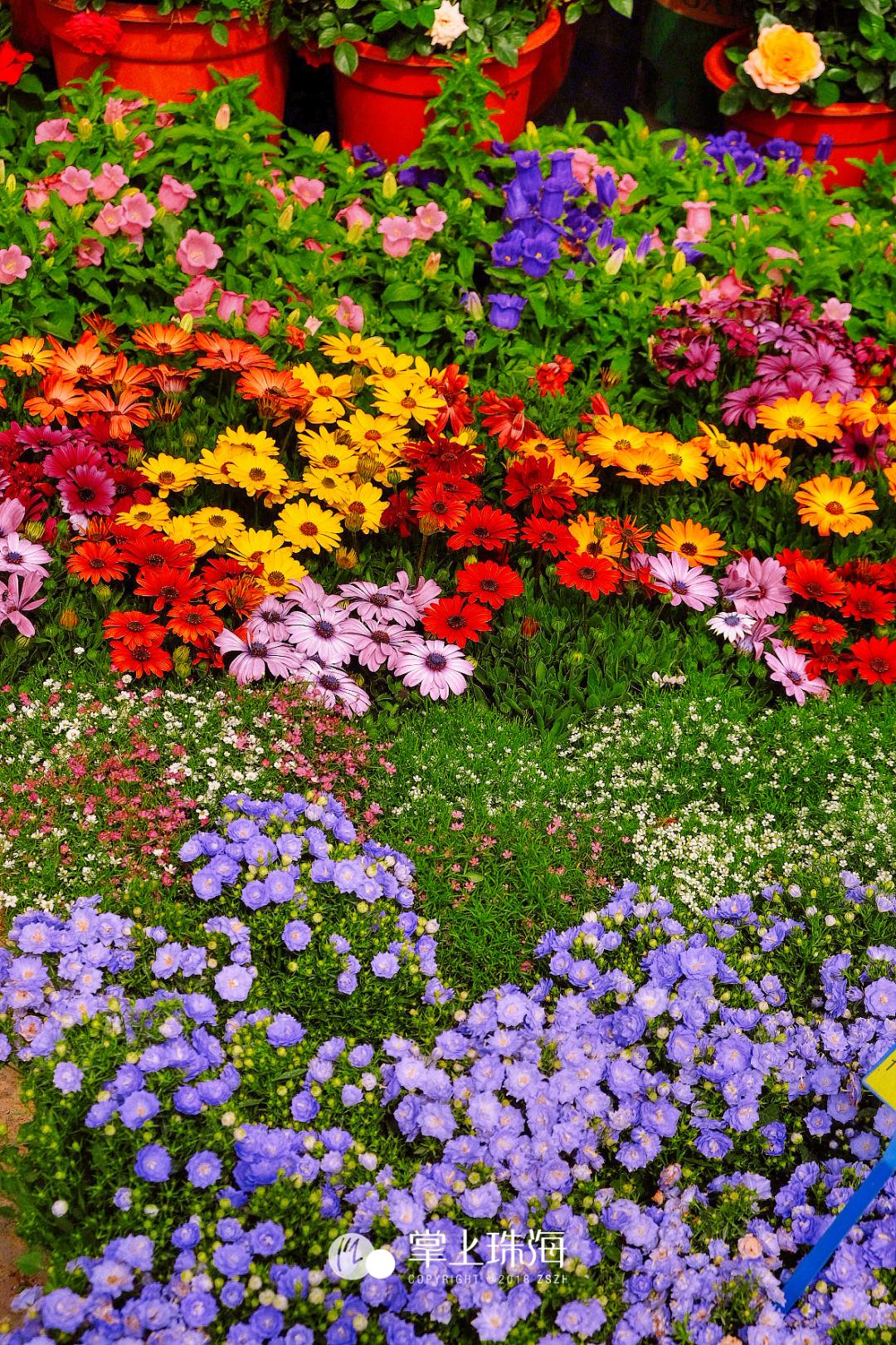 珠海哪个批发市场便宜,珠海有什么大型批发市场吗