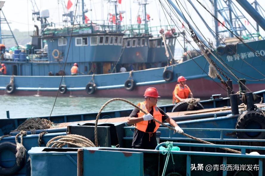 青岛西海岸开海,西海岸开海