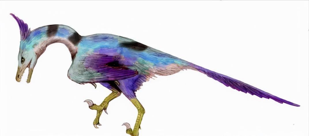 恐龙立体书科普恐龙,恐龙科普全集