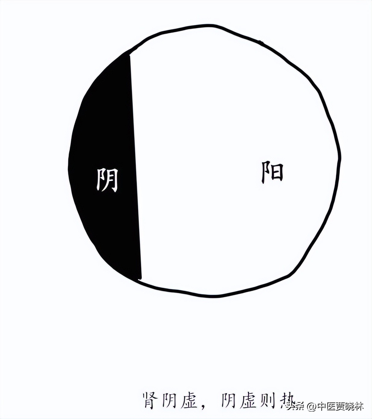 养肾等于养命最全养肾食物大全,养肾护肾的十个方法