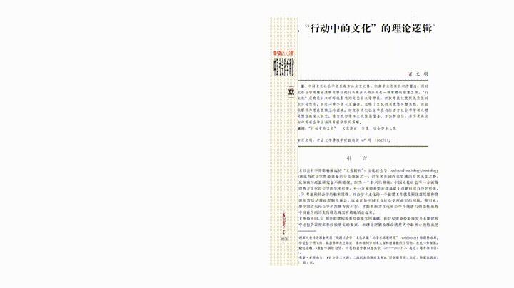 肖文明：反思“行动中的文化”的理论逻辑