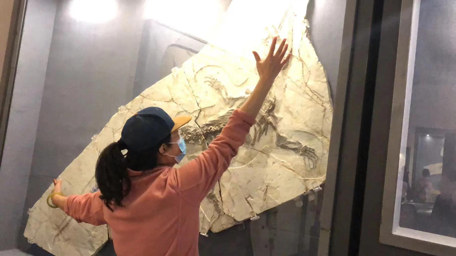 辽西自驾游一日游攻略,辽西自驾游一日游