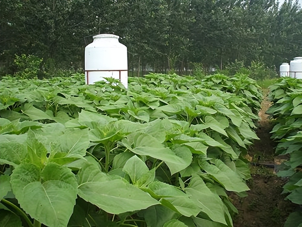 微咸水开发利用情况汇报,反渗透水处理数据分析