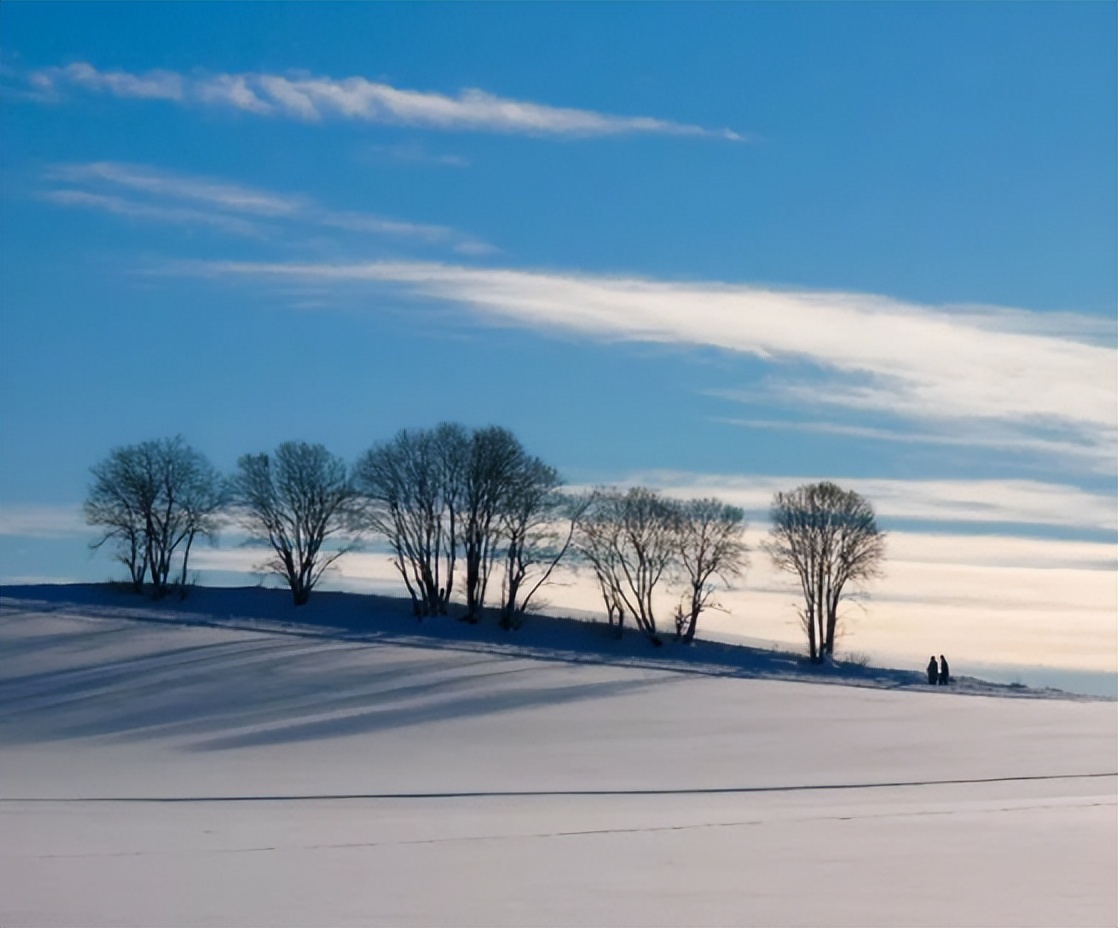 山东农村小伙袁鹏，娶非洲娇妻买7000亩耕地，如今直达人生巅峰
