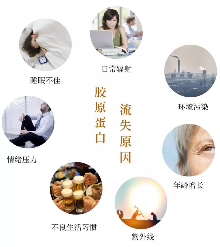 口服玻尿酸和胶原蛋白有用吗,口服玻尿酸胶原蛋白肽有用吗