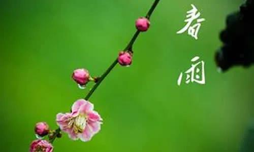 七绝春雨十首,七绝春雨寒烟