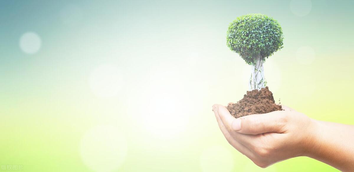 从稻盛和夫的《干法》中，我们可以学到什么？