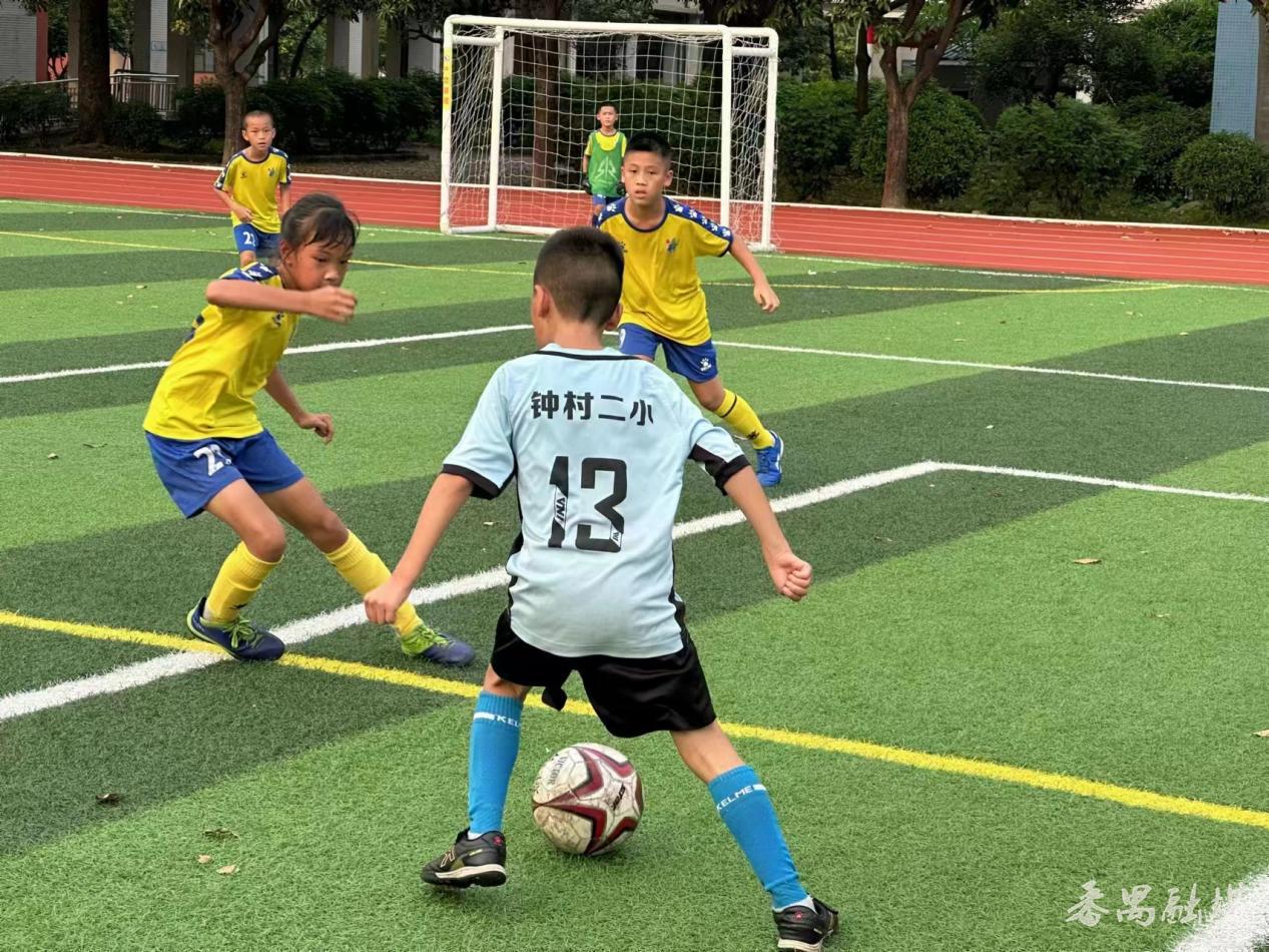 番禺区中小学生校园足球赛,2019年番禺区中小学足球联赛