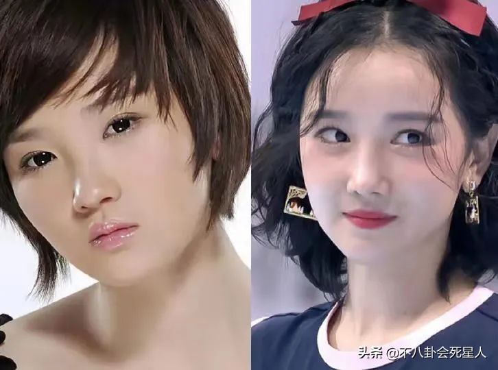 明星隐瞒真实学历被揭穿事件,明星被爆学历造假